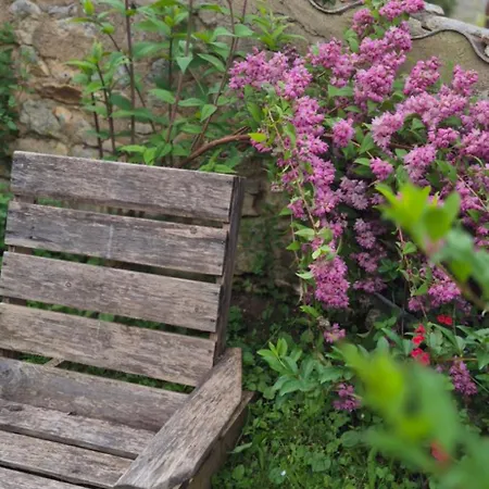 Le Jardin Des Remparts 公寓 绍维尼
