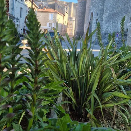 公寓 Le Jardin Des Remparts *